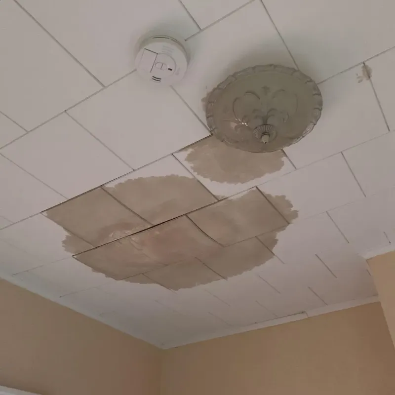 Ceiling Water Damage Repair in Boiling Spring Lakes, NC