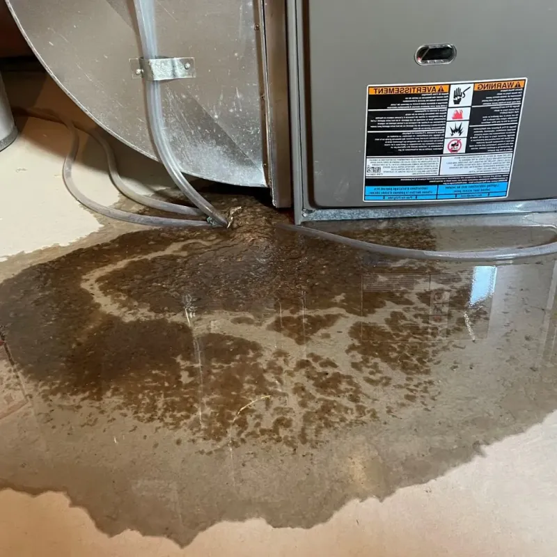 Pipe Burst and Leak Restoration in Boiling Spring Lakes, NC
