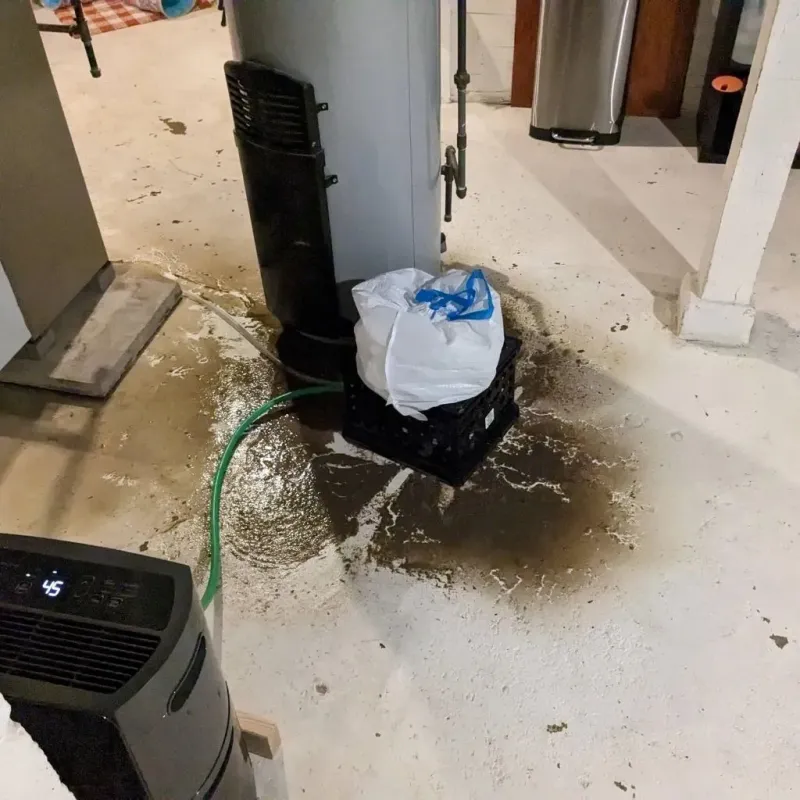 Sewage Backup Cleanup Service in Boiling Spring Lakes, NC
